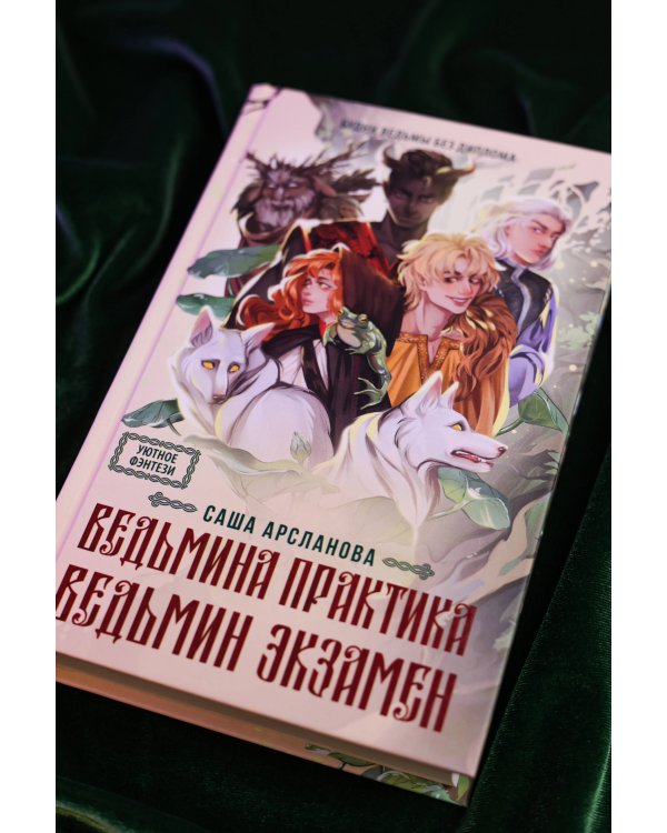 Ведьмина практика. Ведьмин экзамен. Дилогия в одном томе