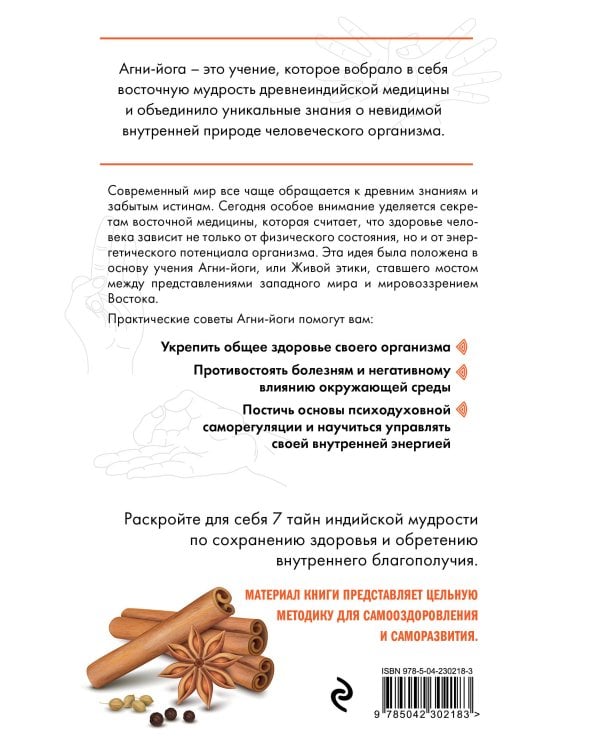 Искусство Агни-йоги. 7 ключей к здоровью тела и сознания