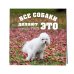 Календари настенные 2025 (300х300) Все собаки делают это. Календарь настенный на 2025 год (300х300)