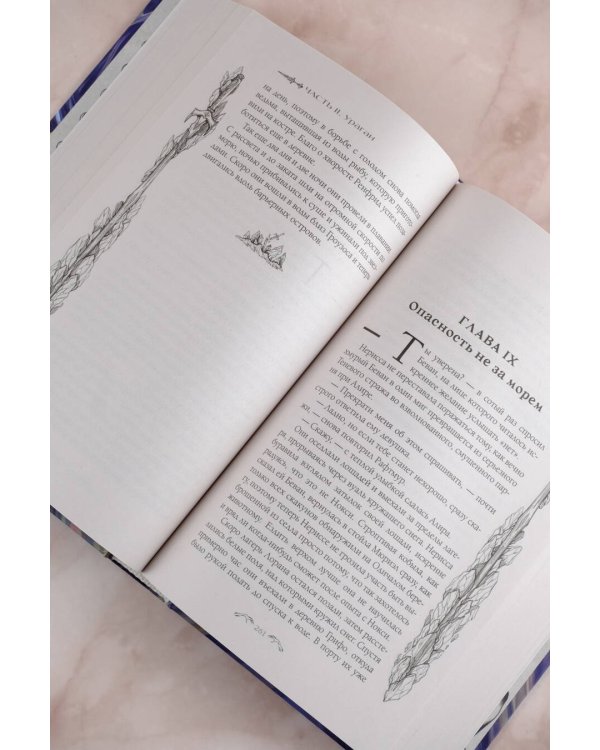 Полдень Грифона