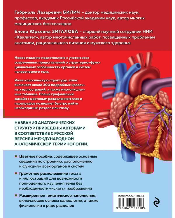 Анатомия человека. Современный атлас с подробными иллюстрациями