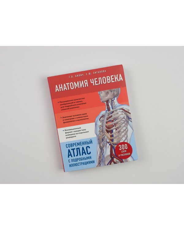 Анатомия человека. Современный атлас с подробными иллюстрациями