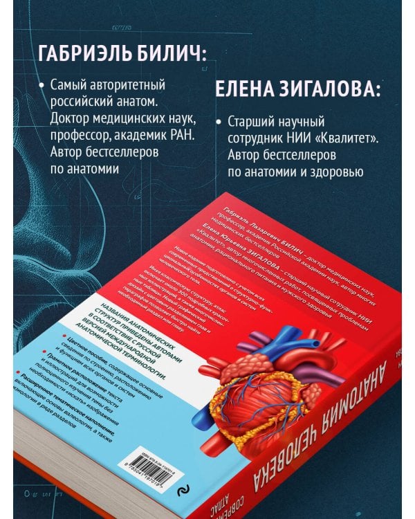 Анатомия человека. Современный атлас с подробными иллюстрациями