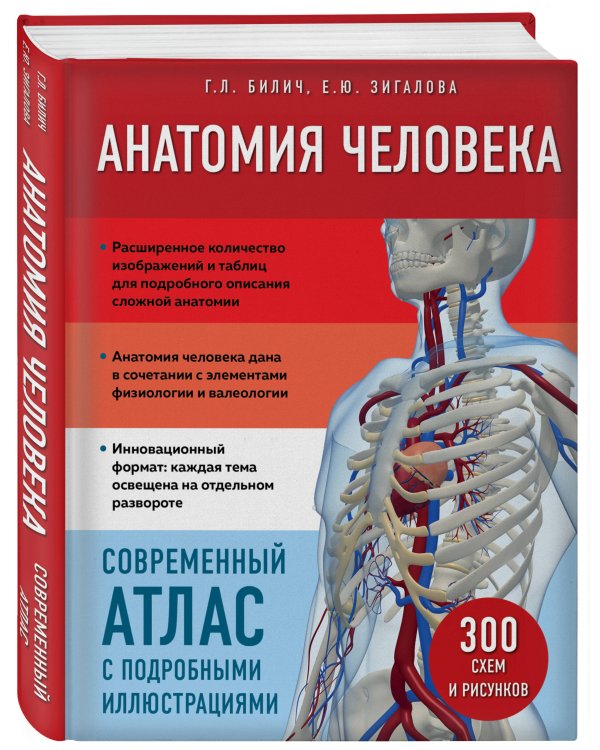 Анатомия человека. Современный атлас с подробными иллюстрациями