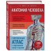 Медицинский атлас Анатомия человека. Современный атлас с подробными иллюстрациями