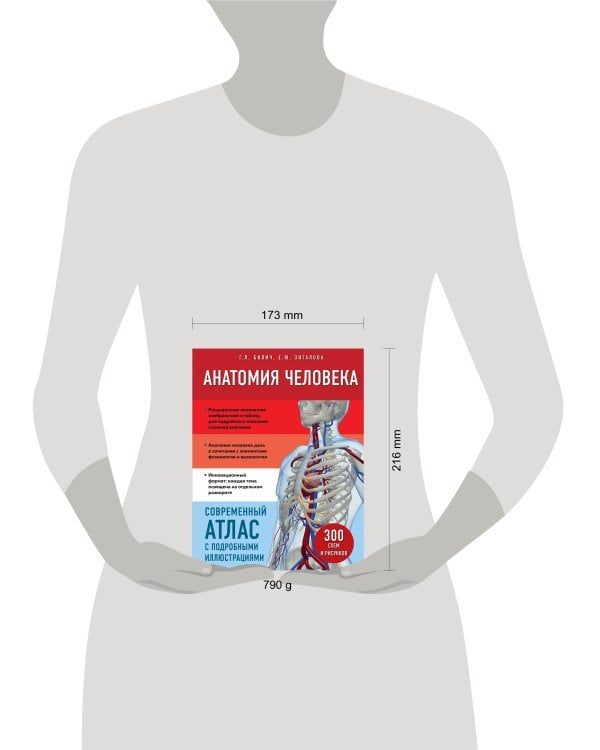 Анатомия человека. Современный атлас с подробными иллюстрациями