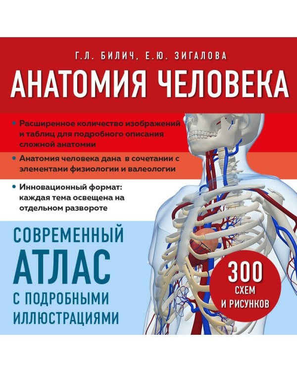 Анатомия человека. Современный атлас с подробными иллюстрациями