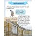 Первые прогулки по Санкт-Петербургу