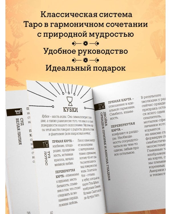 Ботаника. Таро (78 карт и руководство в подарочном футляре)