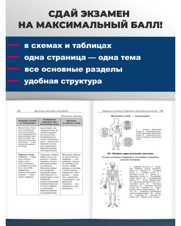 Биология: наглядно и доступно