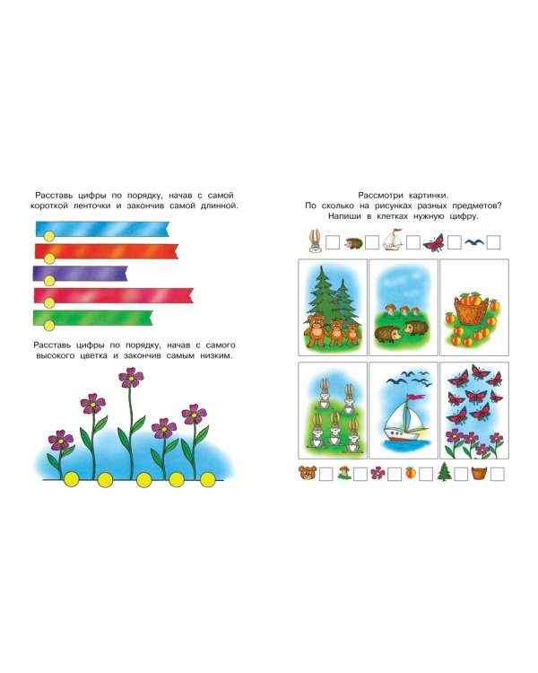 Цифры и числа (5-6 лет)
