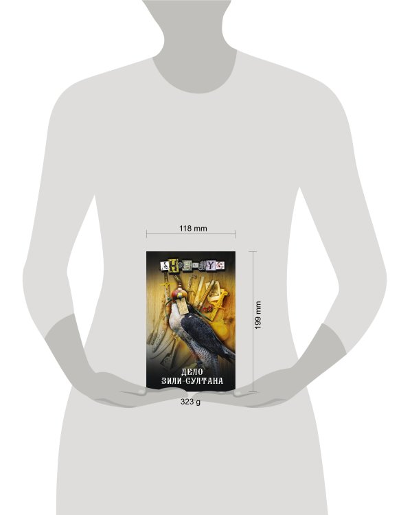 Дело Зили-Султана