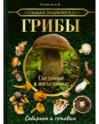 Большая энциклопедия. Грибы. Съедобные и несъедобные. Собираем и готовим.