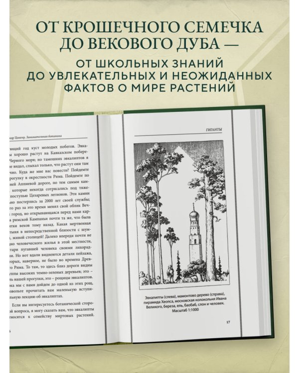 Занимательная ботаника. Лучшие советские учебники