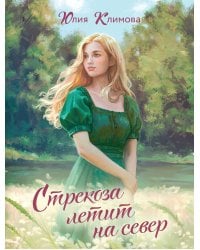 Стрекоза летит на север