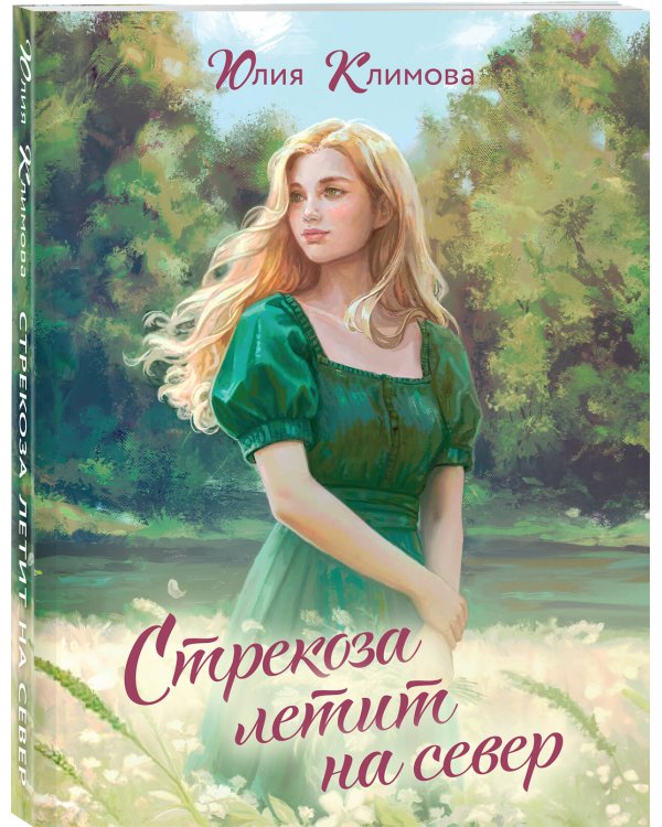 Стрекоза летит на север