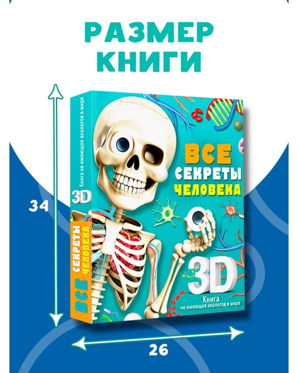 Все секреты человека