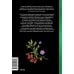Зельеварение на Руси. От ведьм и заговоров до оберегов и Лукоморья