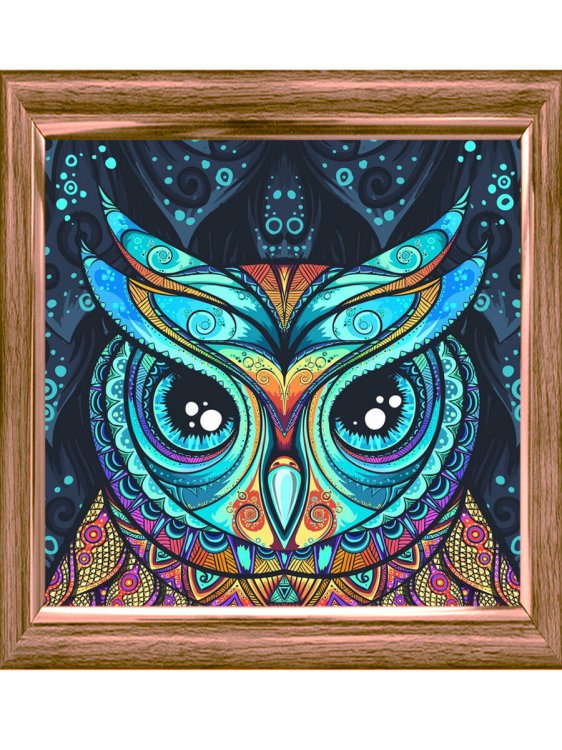 Алмазная мозаика (класс) 30х30 с подр., с полн.запол. Узорчатая сова (Арт. AC30023)