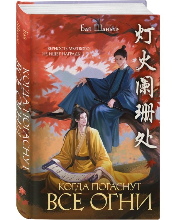 Дополнительное изображение книги «Когда погаснут все огни»