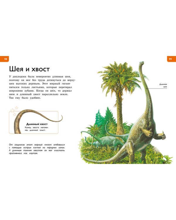 Новая энциклопедия для любознательных