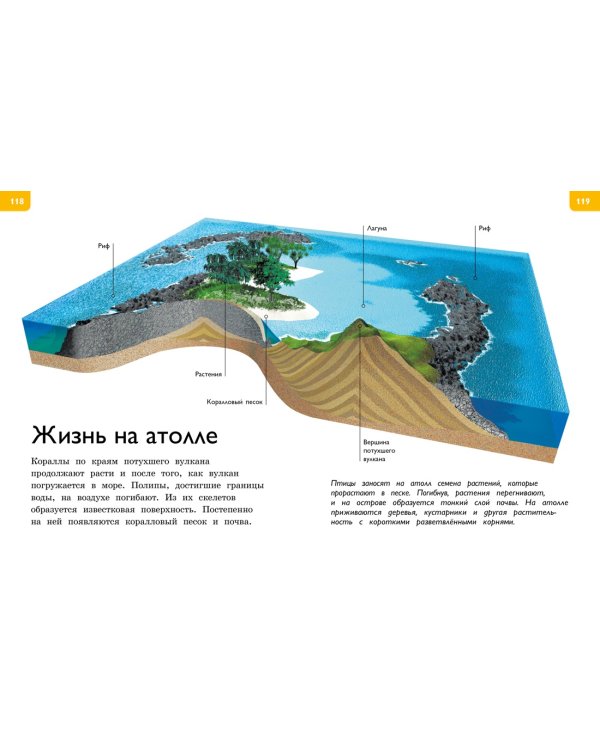 Новая энциклопедия для любознательных