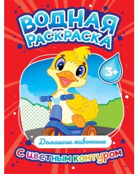 ВОДНАЯ РАСКРАСКА с цветным контуром. Домашние животные