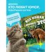 Календари настенные 2025 (300х300) Все кошки делают это. Календарь настенный на 2025 год (300х300 мм)