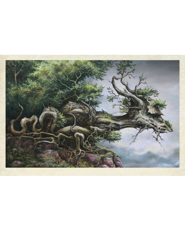 Легенды о драконах