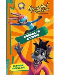 Ну, Погоди! Каникулы. Попробуй догони!