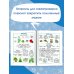 Полный курс начальной школы. Русский язык, математика, окружающий мир