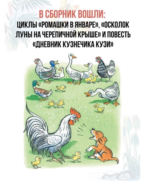 Сказки. Рисунки В. Сутеева