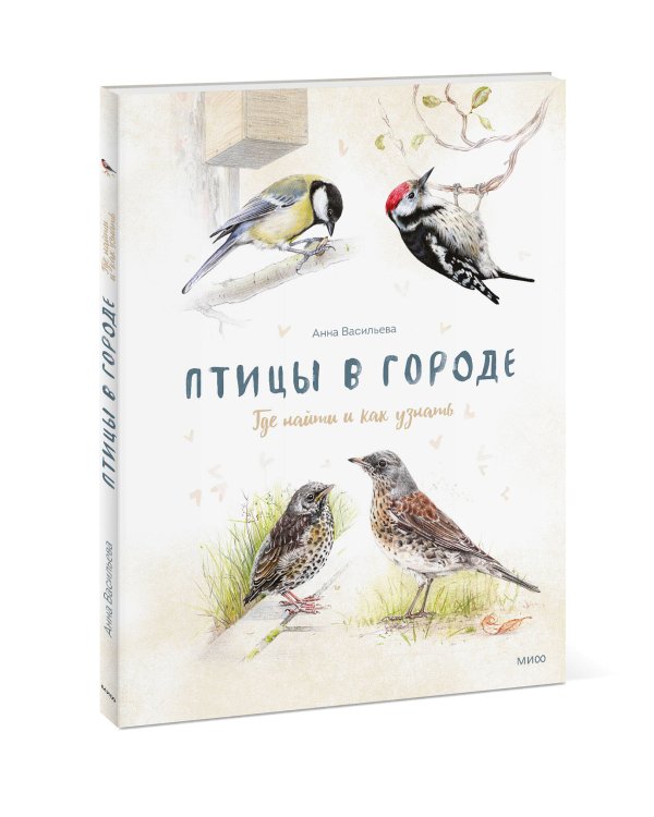 Птицы в городе. Где найти и как узнать