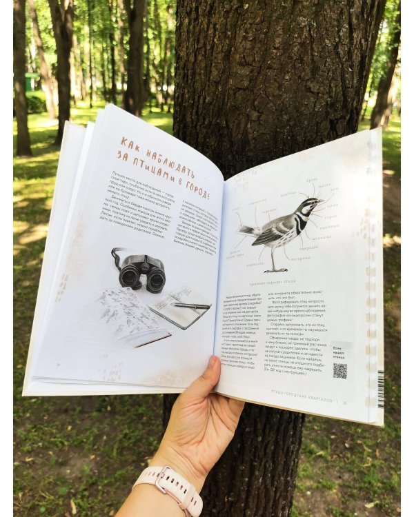 Дополнительное изображение книги «Птицы в городе. Где найти и как узнать»