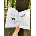 Дополнительное изображение книги «Птицы в городе. Где найти и как узнать»