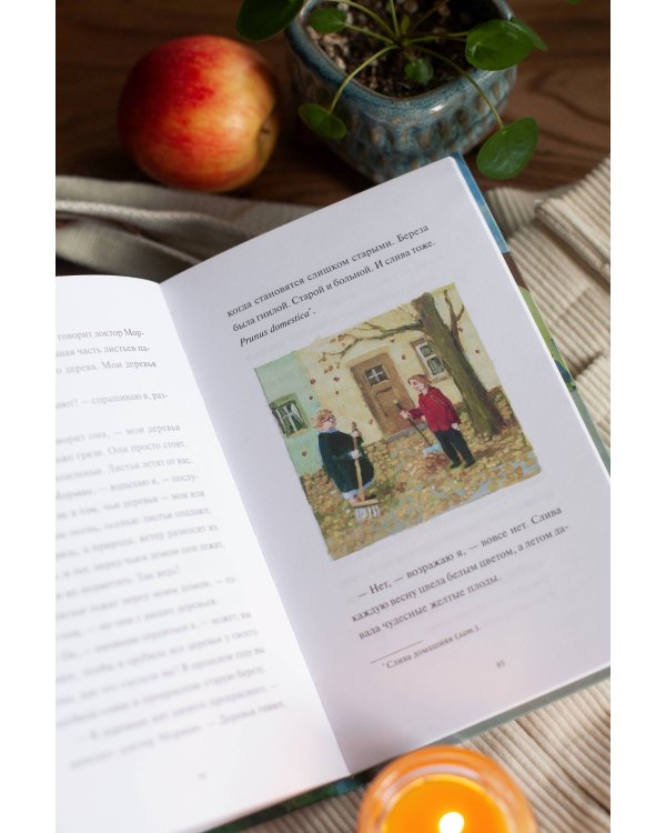 Моя соседка фрау Морман