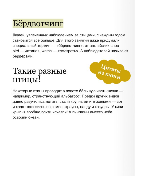 Птицы в городе. Где найти и как узнать