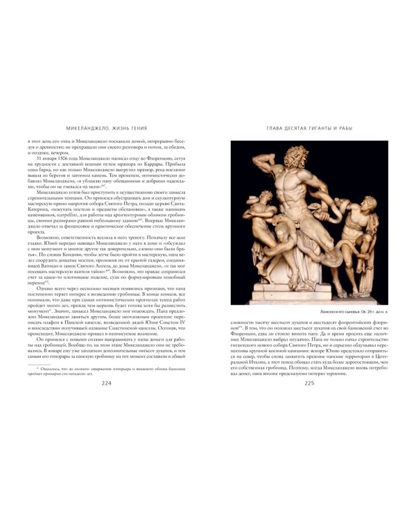 Микеланджело. Жизнь гения