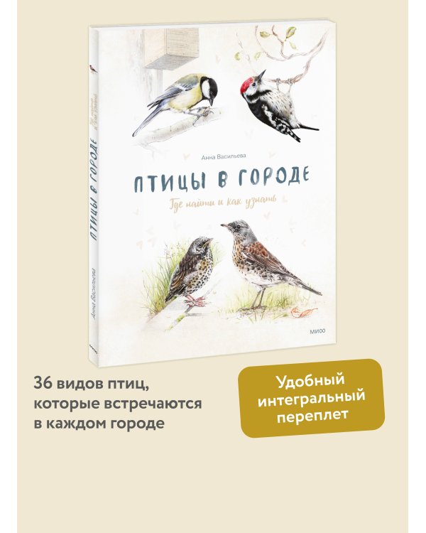 Птицы в городе. Где найти и как узнать
