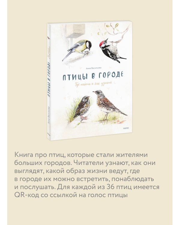 Птицы в городе. Где найти и как узнать
