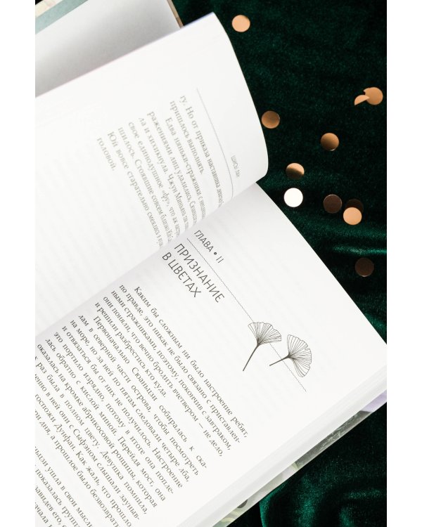 Стеклянная душа красавицы. Книга 2