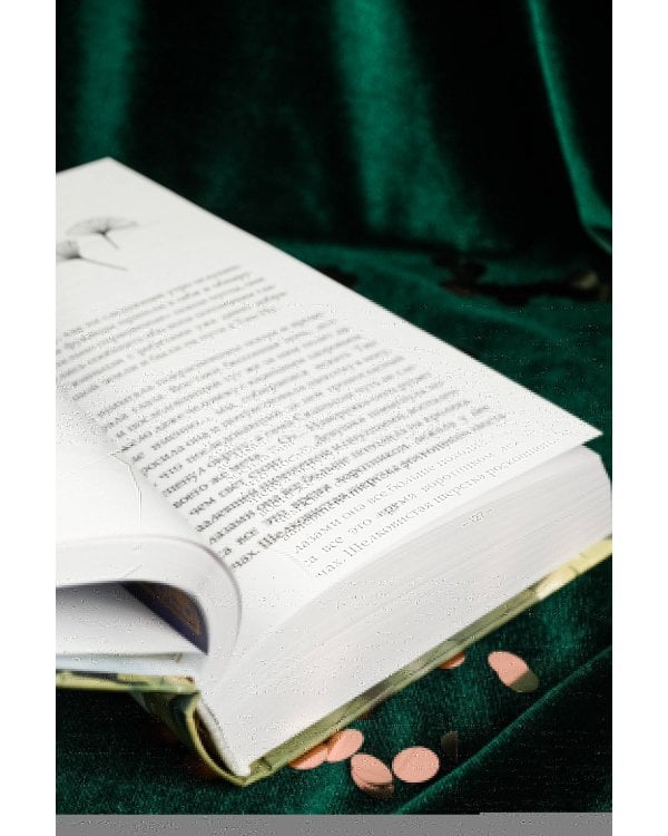 Стеклянная душа красавицы. Книга 2