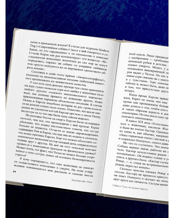 Как животные скорбят. Что чувствуют кошки, слоны, дельфины и другие, теряя близких