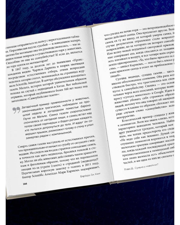 Как животные скорбят. Что чувствуют кошки, слоны, дельфины и другие, теряя близких