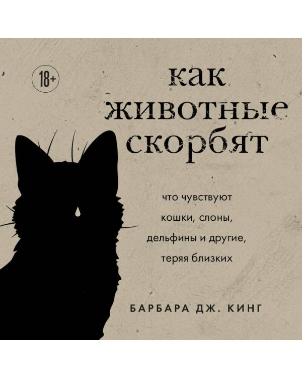 Как животные скорбят. Что чувствуют кошки, слоны, дельфины и другие, теряя близких