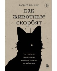 Как животные скорбят. Что чувствуют кошки, слоны, дельфины и другие, теряя близких