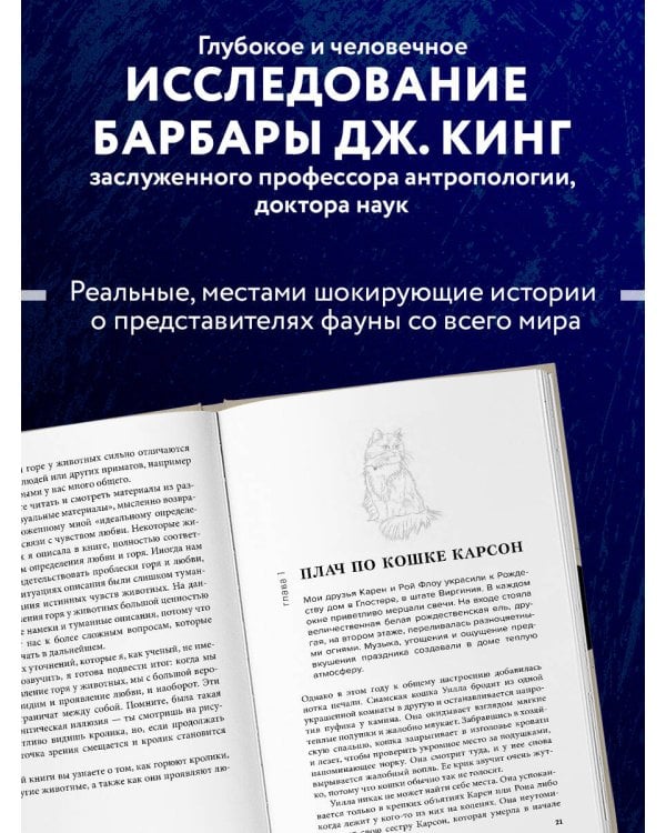 Как животные скорбят. Что чувствуют кошки, слоны, дельфины и другие, теряя близких