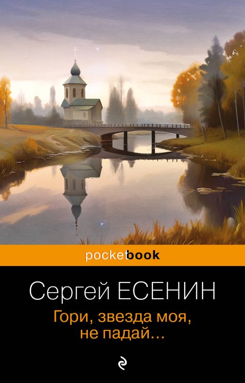 Pocket book (обложка). Русская классика Гори, звезда моя, не падай...