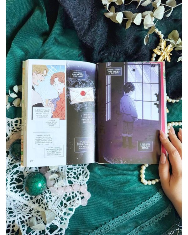 Я стану главой этой семьи. Том 1