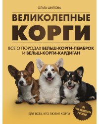 Великолепные корги. Все о породах вельш-корги-пемброк и вельш-корги-кардиган